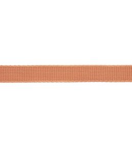 25mm Francoise Border Trimming by Samuel & sons Salmon