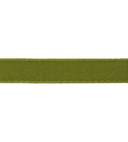 38mm Francoise Border Trimming by Samuel & sons Verde