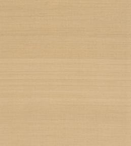 Abaca Wallpaper by Nobilis Desert
