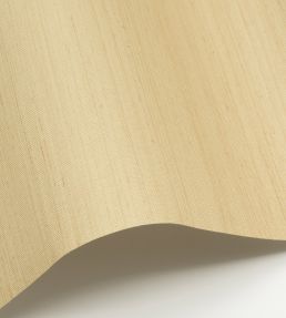 Abaca Wallpaper by Nobilis Light Linen