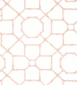 Abbor Wallpaper by Thibaut Blush