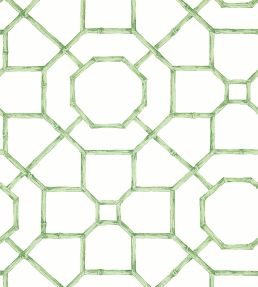 Abbor Wallpaper by Thibaut Green