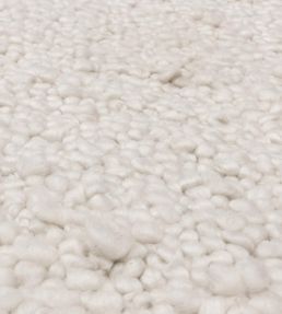 Asiatic Abbus rug Ivory ABBU120170IVOR Ivory