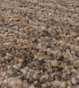 Asiatic Abbus rug Tawny Brown ABBU120170BROW Tawny Brown