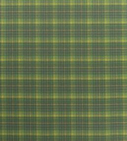 Abernethy Fabric by Designers Guild Emerald