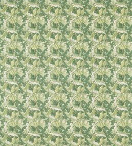Acanthus Fabric by Clarke & Clarke Apple/Sage