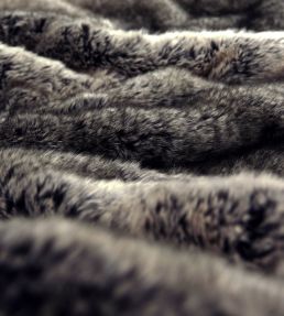 Accalia FR Fabric by Warwick Sable