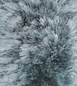 Ligne Pure Adore rug Blue 207.001.500.60120 Blue