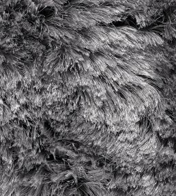 Ligne Pure Adore rug Graphite 207.001.950.60120 Graphite