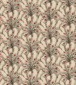 Afrika Damask Wallpaper by Cole & Son Sandstone & Ruby