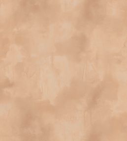 Agrigente Wallpaper by Elitis Terra Rosa