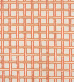 Al Bivio Fabric by Jim Thompson No.9 Persimmon