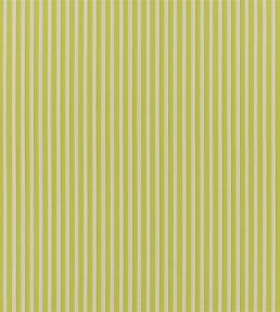 Albemarle Stripe Fabric by Designers Guild Lime