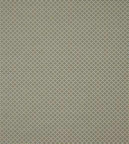 Alberta Fabric by Colefax And Fowler Blue
