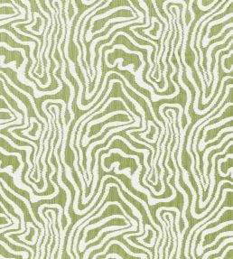 Alessandro Fabric by Thibaut Sage