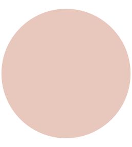 Alhambra Stone 1829 Gloss Paint by Craig & Rose Alhambra Stone