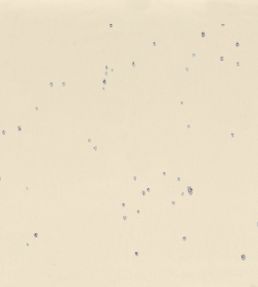 Alienor Fabric by Casamance Vanille Platine