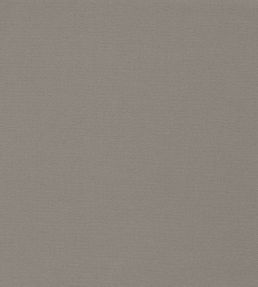 Allegra Fabric by Harlequin Husky