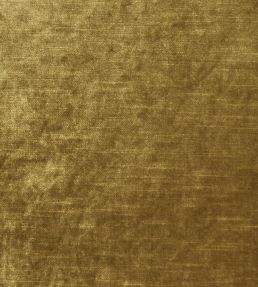 Allure Fabric by Clarke & Clarke Gold
