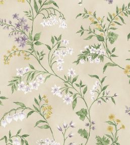 Almora Wallpaper by Nina Campbell 2