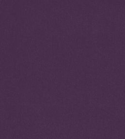 Alto Velvet Fabric by Thibaut Amethyst
