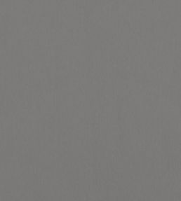 Alto Velvet Fabric by Thibaut Flannel