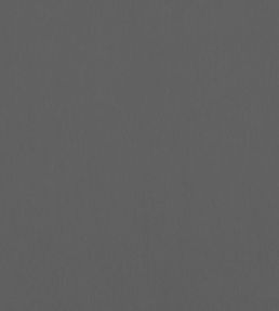 Alto Velvet Fabric by Thibaut Graphite