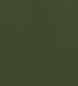 Alto Velvet Fabric by Thibaut Olive