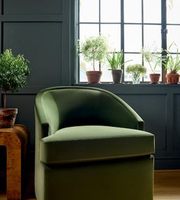Alto Velvet Fabric by Thibaut Olive