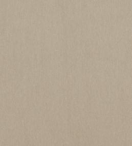 Alto Velvet Fabric by Thibaut Stone