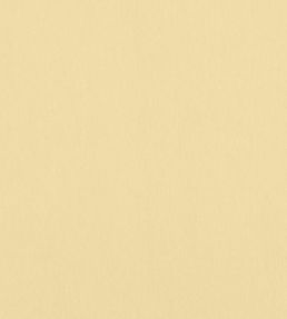 Alto Velvet Fabric by Thibaut Straw