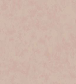 Alumina Wallpaper by Villa Nova Plaster