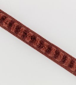 Alvie Brush Trimming by Romo Harissa