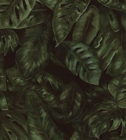 Amazon Wallpaper by Rebel Walls Fern