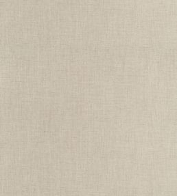 Ambient Fabric by Thibaut Lichen