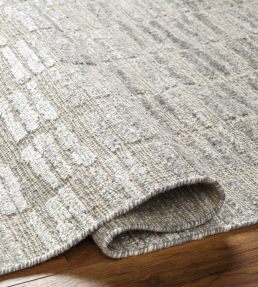 Surya Amina rug Light Beige-2300 AMA2300-23-US Light Beige-2300