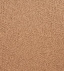 Amur Fabric by Kai Clay