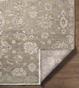 Anatolia Rug by Surya Brown-2314