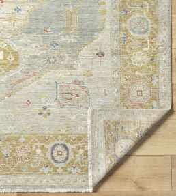 Anatolia Rug by Surya Light Olive-2309