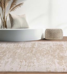Asiatic Anders rug AN04 ANDE120160AN04 AN04