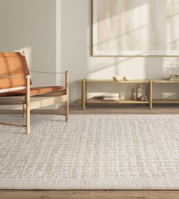 Asiatic Anders rug AN10 ANDE120160AN10 AN10