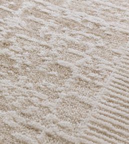 Asiatic Anders rug AN10 ANDE120160AN10 AN10