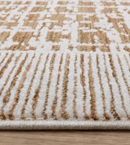 Asiatic Anders rug AN11 ANDE120160AN11 AN11