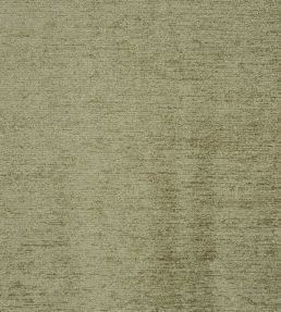 Anderson Fabric by Prestigious Textiles Basil