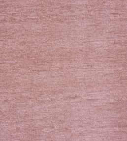 Anderson Fabric by Prestigious Textiles Shell