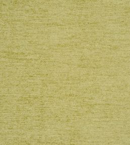 Anderson Fabric by Prestigious Textiles Wasabi