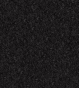 Andes Fabric by Warwick Onyx
