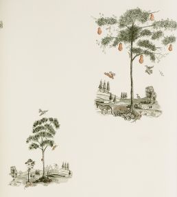 Pear Tree Wallpaper by Andrew Martin Graphite