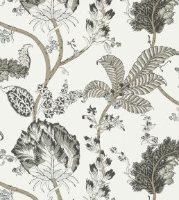 Kalamkari Vine Wallpaper by Anna French Black and White