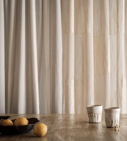 Anton Fabric by Clarke & Clarke Charcoal